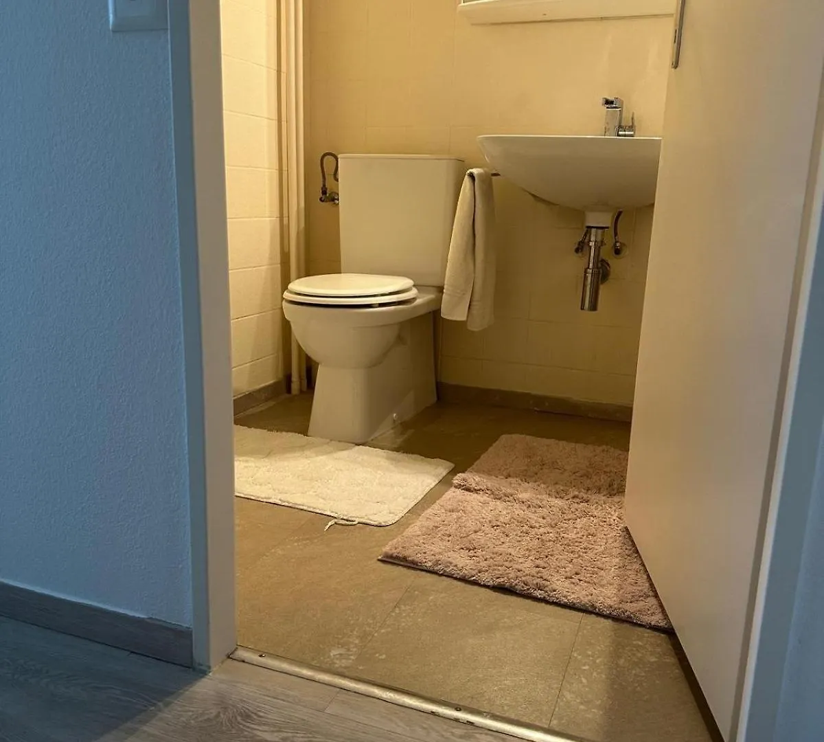 Beautiful 2-Bed Apartment Near Palexpo, Un Agencies & Diplomatic Missions ジュネーブ スイス